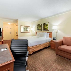 King Room Sofa Bed Non-Smoking